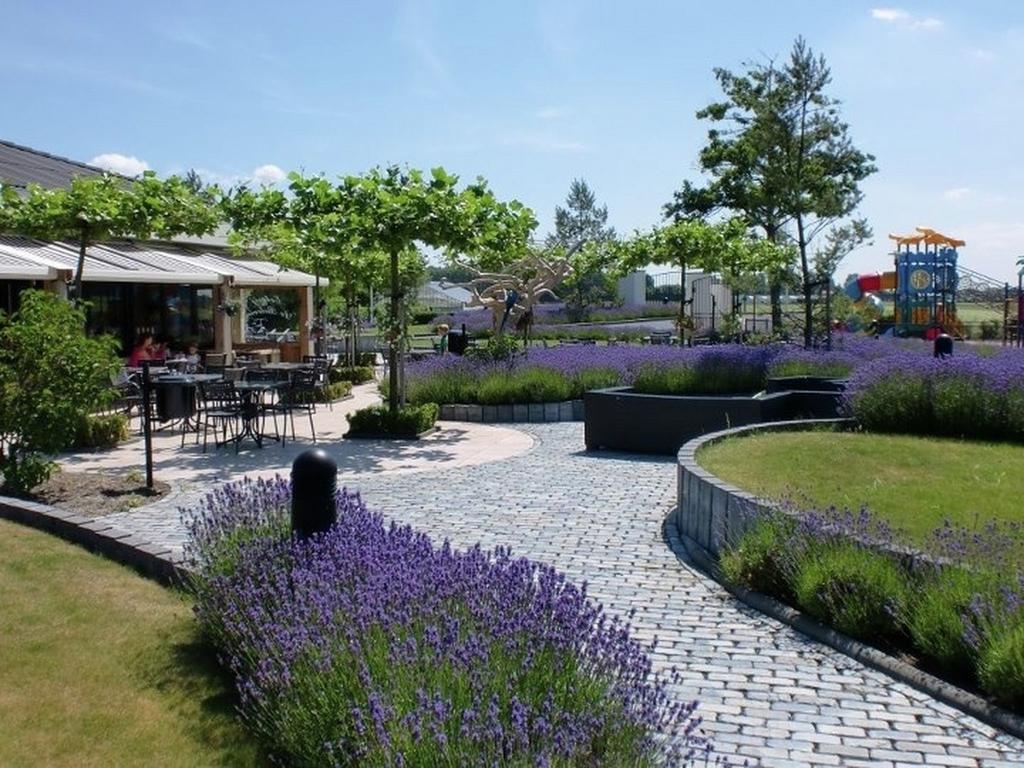 Europarcs Parc Du Soleil Hotell Noordwijk Rom bilde